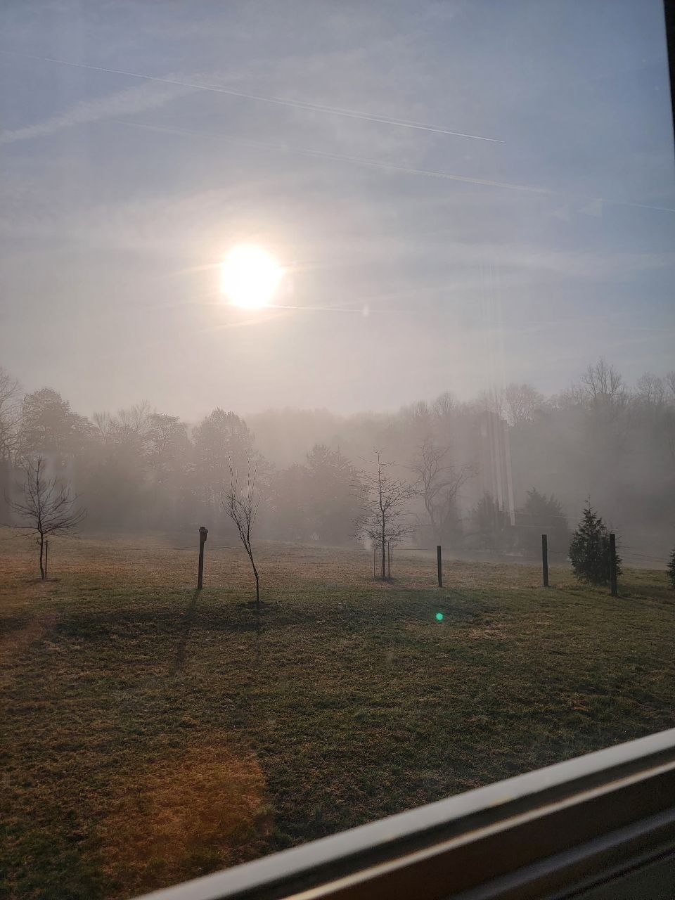 Rolling green pasture in morning light